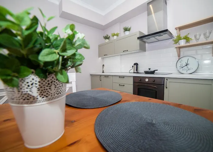 Butterfly オデッサ